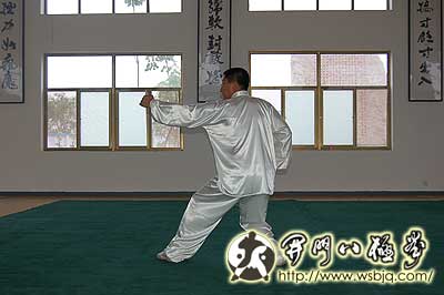 中华武术八极拳