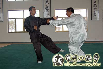 中华武术八极拳