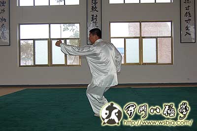 中华武术八极拳