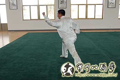 中华武术八极拳