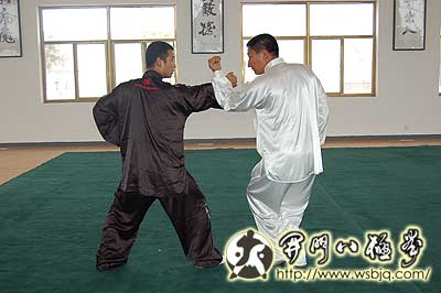 中华武术八极拳