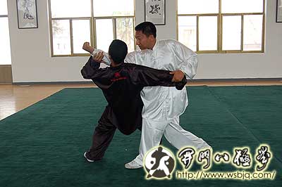 中华武术八极拳