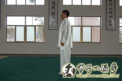 中华武术八极拳