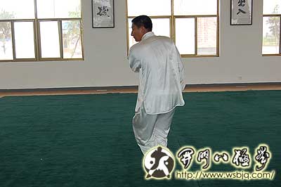 中华武术八极拳