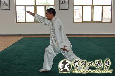 中华武术八极拳