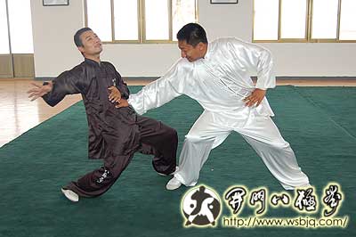 中华武术八极拳