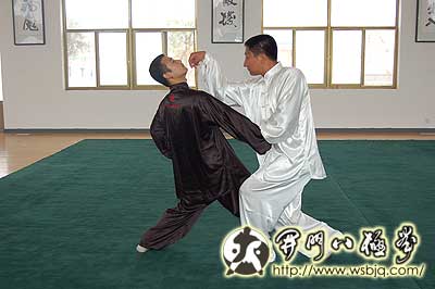 中华武术八极拳