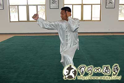 中华武术八极拳