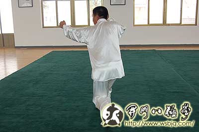 中华武术八极拳