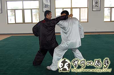 中华武术八极拳