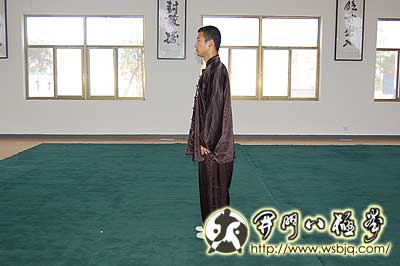 中华武术八极拳