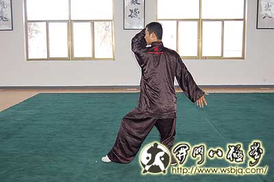 中华武术八极拳