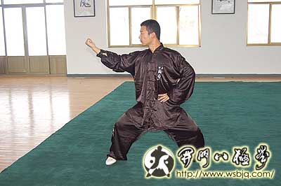 中华武术八极拳