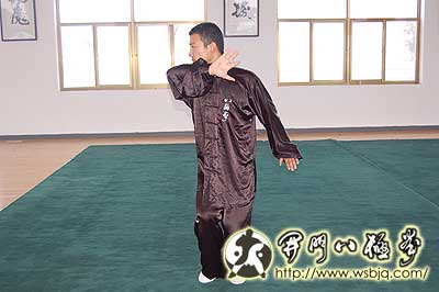 中华武术八极拳