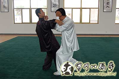 中华武术八极拳