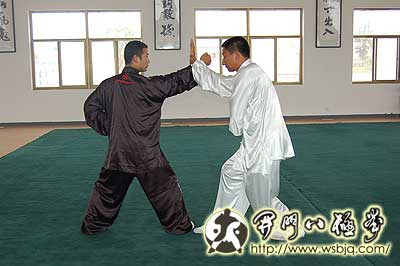 中华武术八极拳