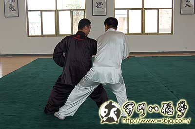 中华武术八极拳