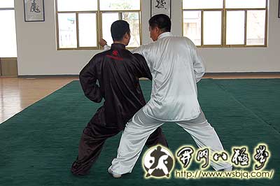 中华武术八极拳