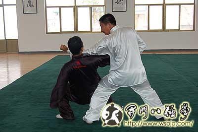中华武术八极拳