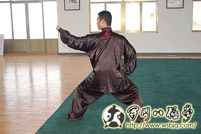 中华武术八极拳