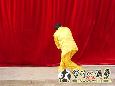 中华武术八极拳