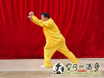 中华武术八极拳