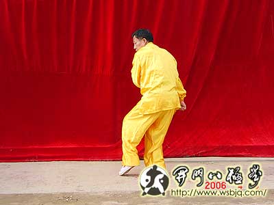 中华武术八极拳