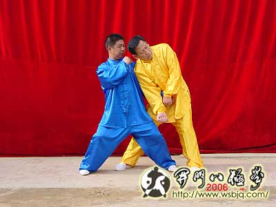 中华武术八极拳