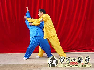 中华武术八极拳