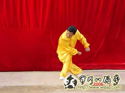 中华武术八极拳