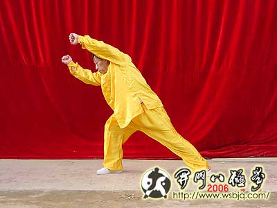 中华武术八极拳