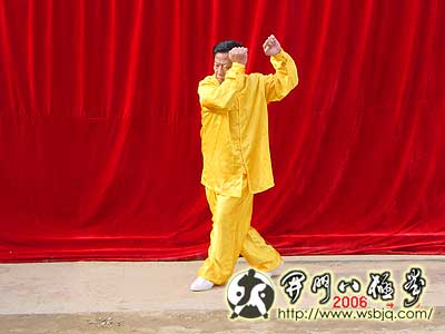 中华武术八极拳