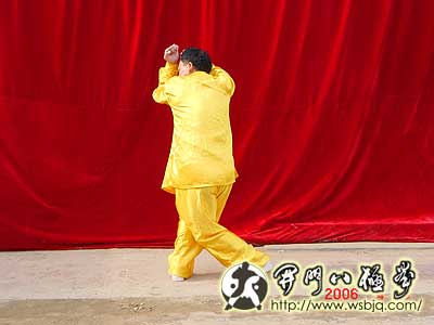 中华武术八极拳