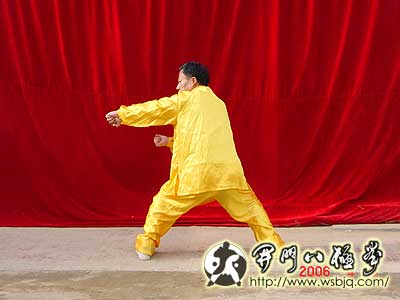 中华武术八极拳