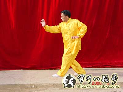 中华武术八极拳