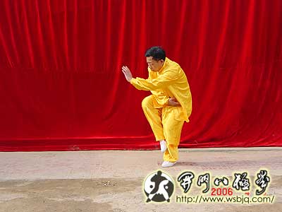 中华武术八极拳