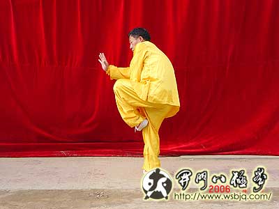 中华武术八极拳