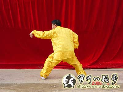 中华武术八极拳