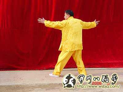 中华武术八极拳