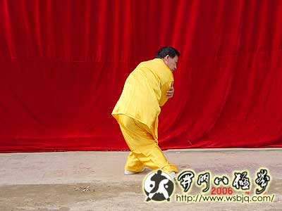 中华武术八极拳