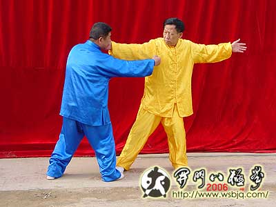 中华武术八极拳