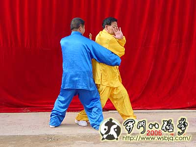 中华武术八极拳