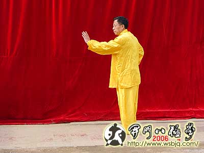 中华武术八极拳