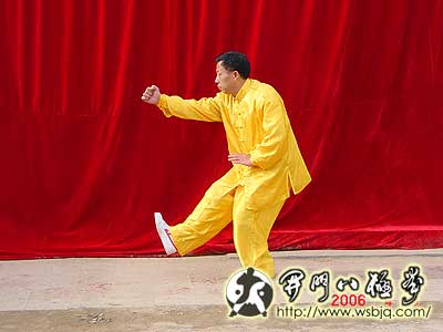 中华武术八极拳