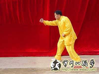 中华武术八极拳