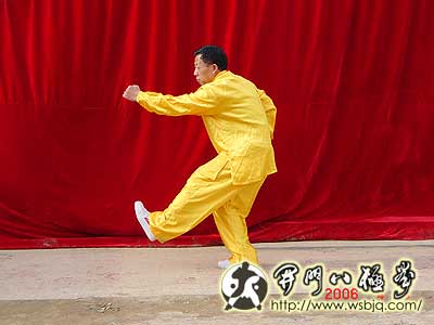 中华武术八极拳