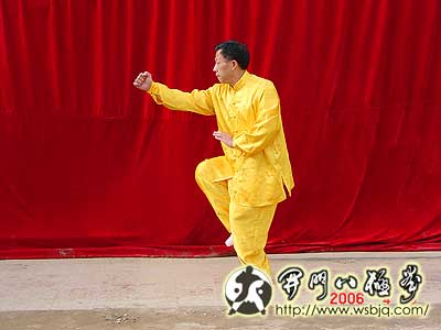 中华武术八极拳