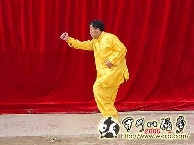 中华武术八极拳