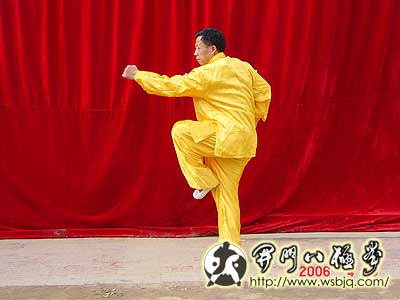 中华武术八极拳