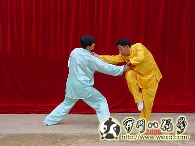 中华武术八极拳